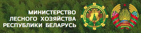 Сайт млх рб. Минлесхоз. МЛХ. Витебский лесхоз логотип. Министерство Лесной гаспадарки Республики Беларусь.
